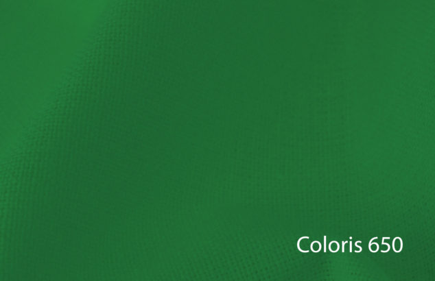 toile incruste verte